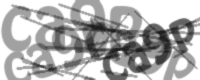 gvnlk